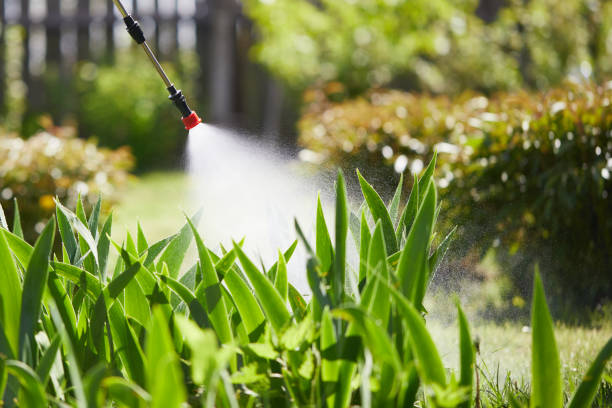 24/7 Emergency Mosquito Control experts in Sans Souci, SC