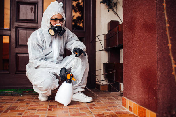 Reliable Mosquito Control contractor in Sans Souci, SC by Show Me Pest Control