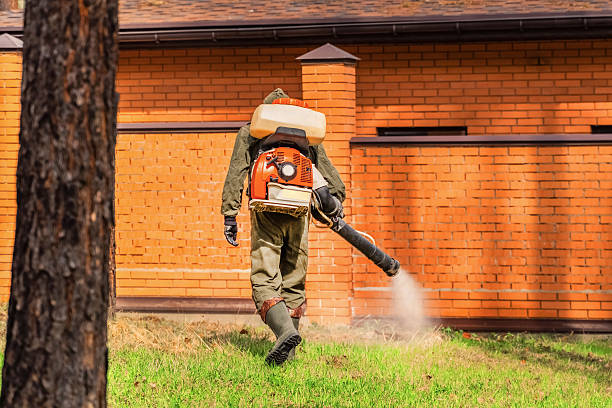 Top rated local Mosquito Control specialists in Sans Souci, SC
